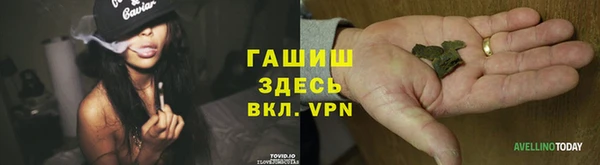 гидра Алексеевка