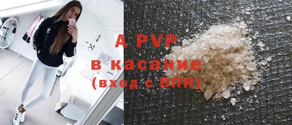 крисы Алексин